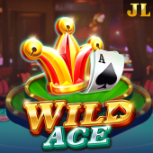 Wild Ace - ColorPlay Login